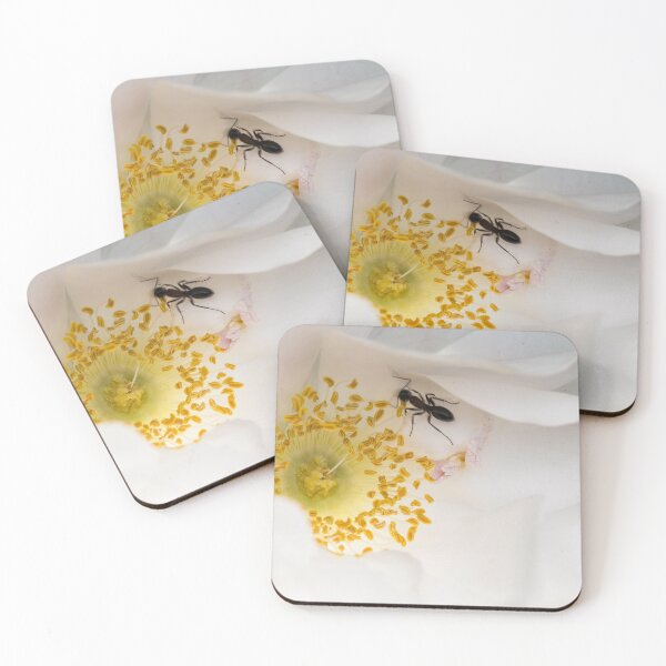 Item preview, Ant On Rose Petals designed and sold by Robert Alsop.