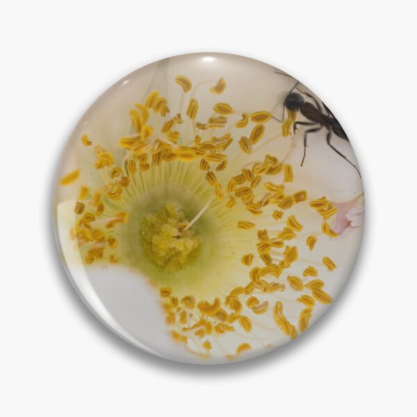 Item preview, Ant On Rose Petals designed and sold by Robert Alsop.