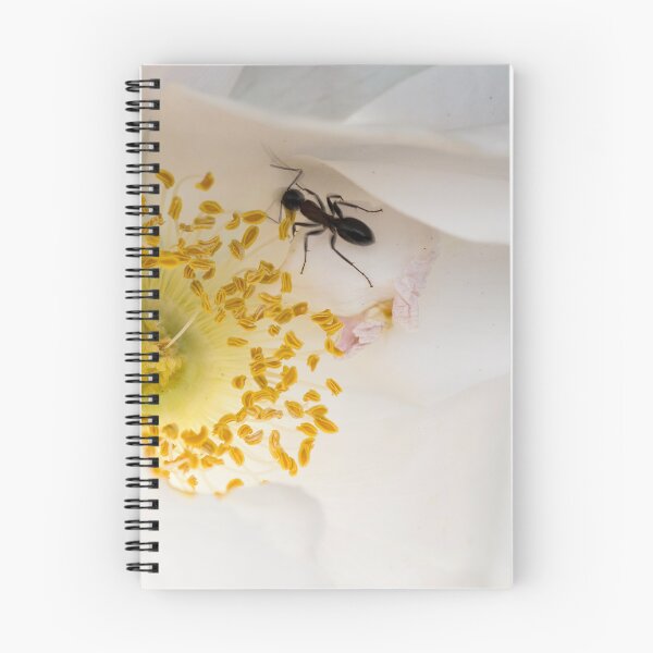 Item preview, Ant On Rose Petals designed and sold by Robert Alsop.