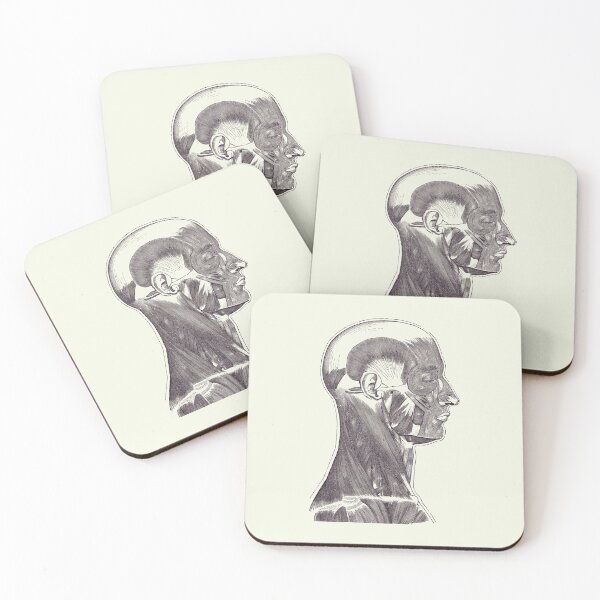 Item preview, Head and Neck Muscular System - Simple Diagram - Vintage Anatomy 2 designed and sold by VAposters.