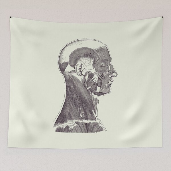 Item preview, Head and Neck Muscular System - Simple Diagram - Vintage Anatomy 2 designed and sold by VAposters.