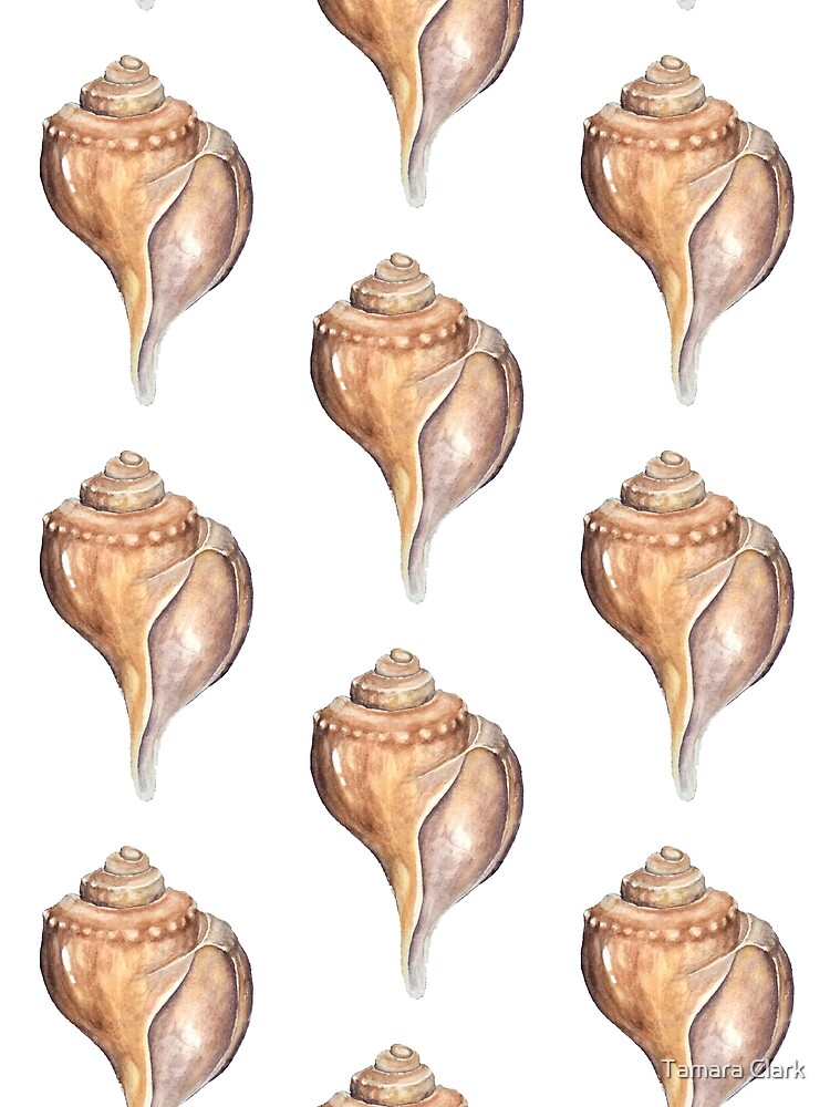 Knobbed Whelk by edenart