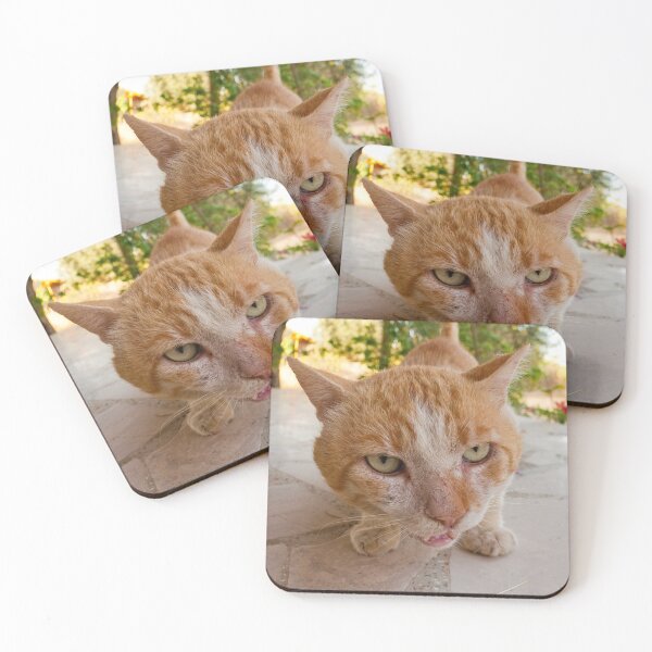 Item preview, Angry Red Cat designed and sold by Vassia Sarri.