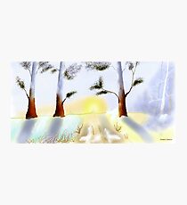 Winter Roadway Photographic Print