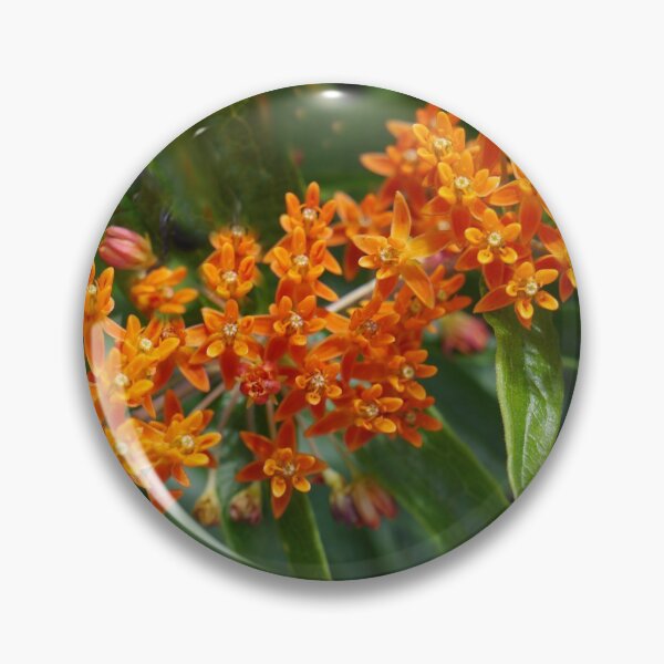 Item preview, Orange Joy designed and sold by webster7.