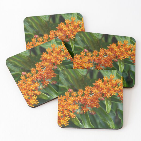 Item preview, Orange Joy designed and sold by webster7.