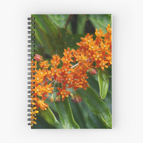 Item preview, Orange Joy designed and sold by webster7.