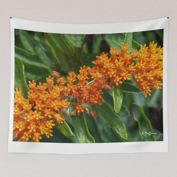 Item preview, Orange Joy designed and sold by webster7.