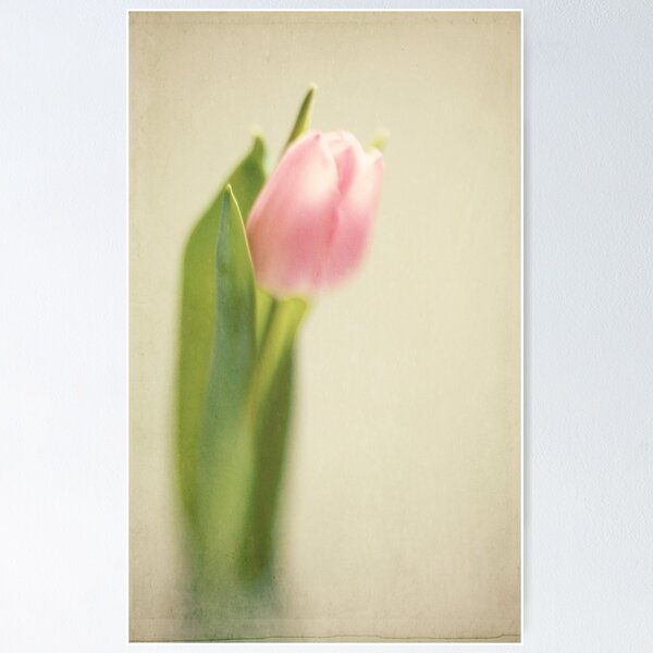 Item preview, Textured Tulip designed and sold by lorrainem.