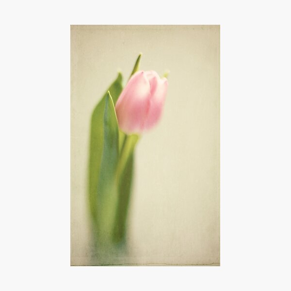 Item preview, Textured Tulip designed and sold by lorrainem.