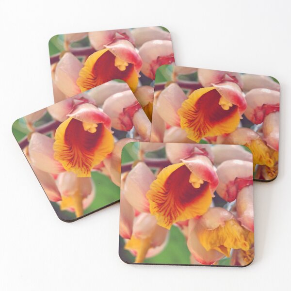 Item preview, Orchid? designed and sold by treborbob.