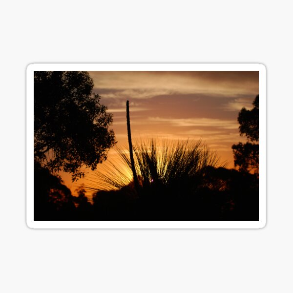 Item preview, Grasstree sunset Perth designed and sold by treborbob.