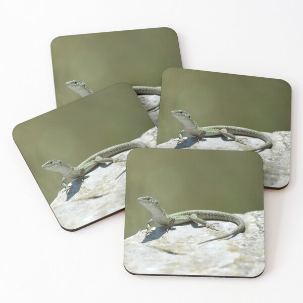 Item preview, Green Lizard on a rock designed and sold by Vassia Sarri.