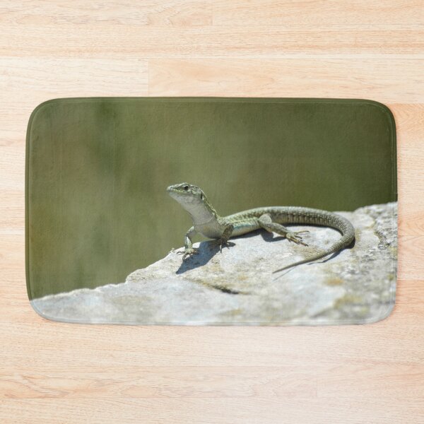 Item preview, Green Lizard on a rock designed and sold by Vassia Sarri.