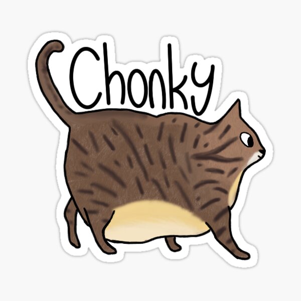 Download Chonky Cat Gifts Merchandise Redbubble