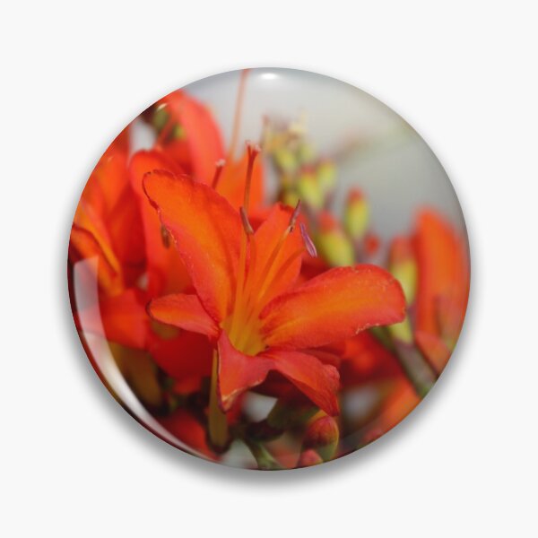 Item preview, Crocosmia designed and sold by WickedTink.