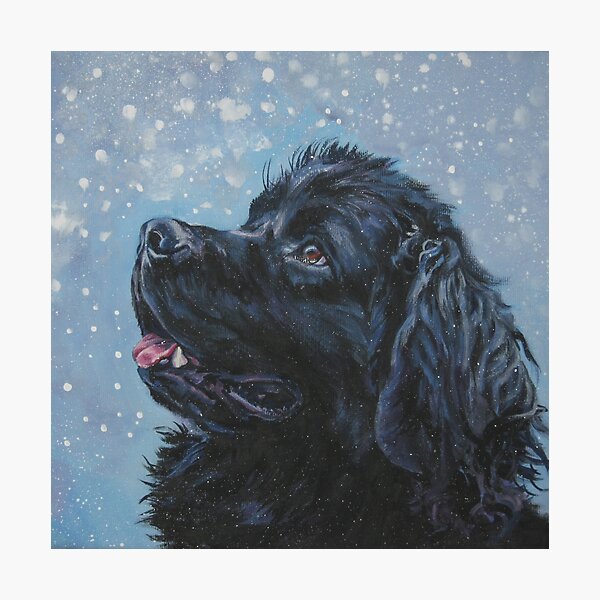 Newfoundland Dog Fine Art Painting Photographic Print