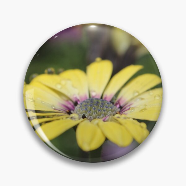 Item preview, Osteospermum Daisy Yellow designed and sold by WickedTink.