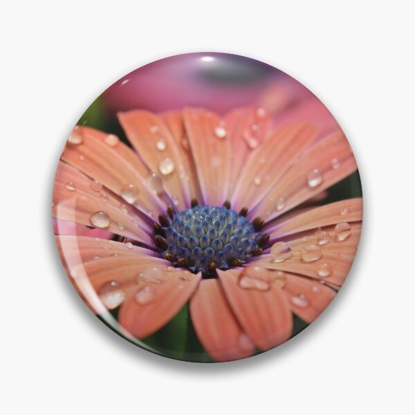 Item preview, Osteospermum Daisy Peach designed and sold by WickedTink.