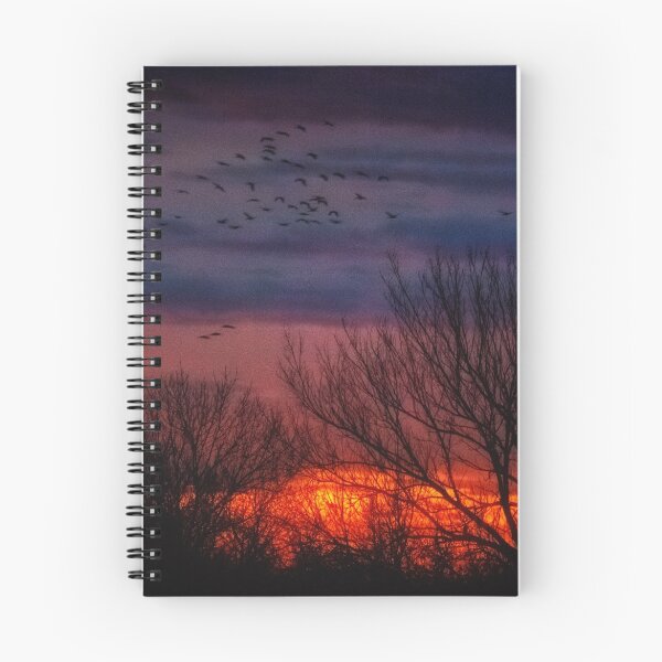 Item preview, Impressions After Sunset designed and sold by Owed To Nature.