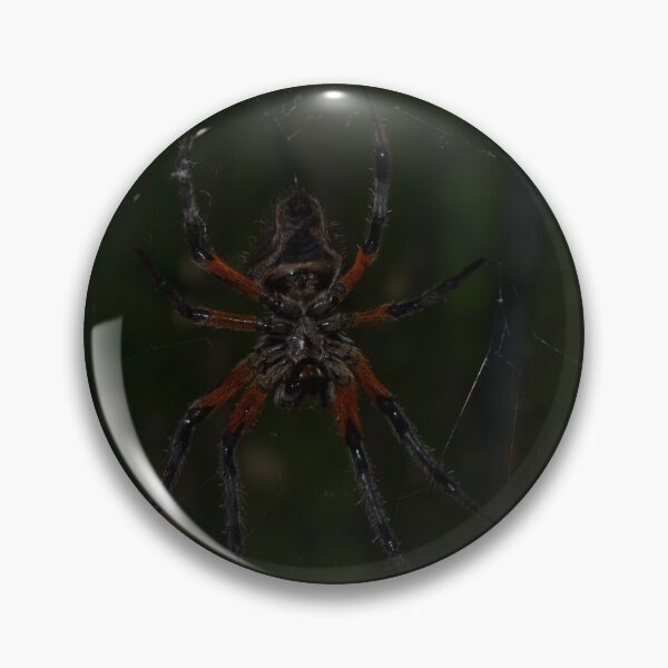 Item preview, Orb-weaver Spider designed and sold by Pauline Catling.