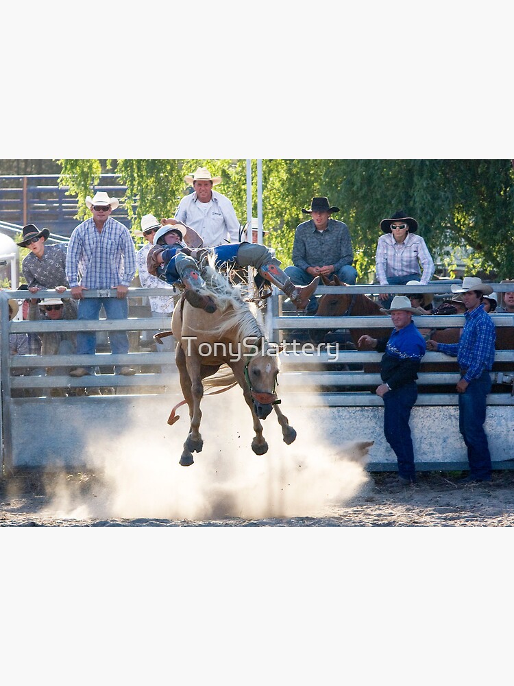 Moruya Rodeo New Years Day 2012 by TonySlattery