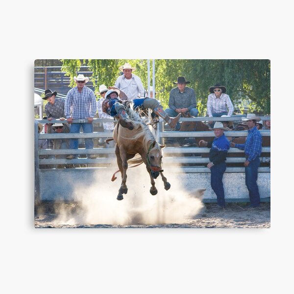 Moruya Rodeo New Years Day 2012 Metal Print