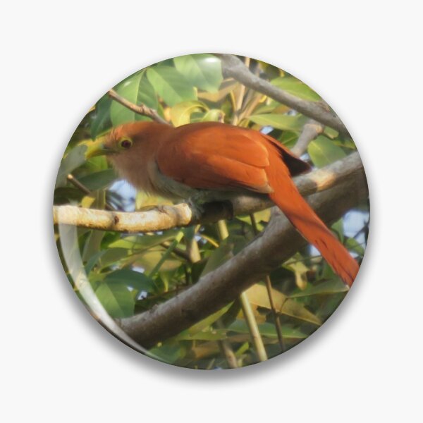 Item preview, Squirrel Cuckoo designed and sold by Pauline Catling.
