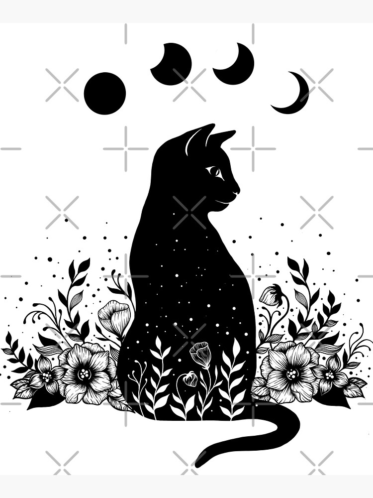 Night Garden Cat by episodicDrawing