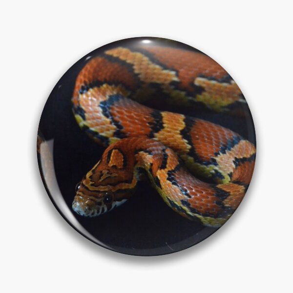 Item preview, Okeetee Corn Snake designed and sold by Pauline Catling.