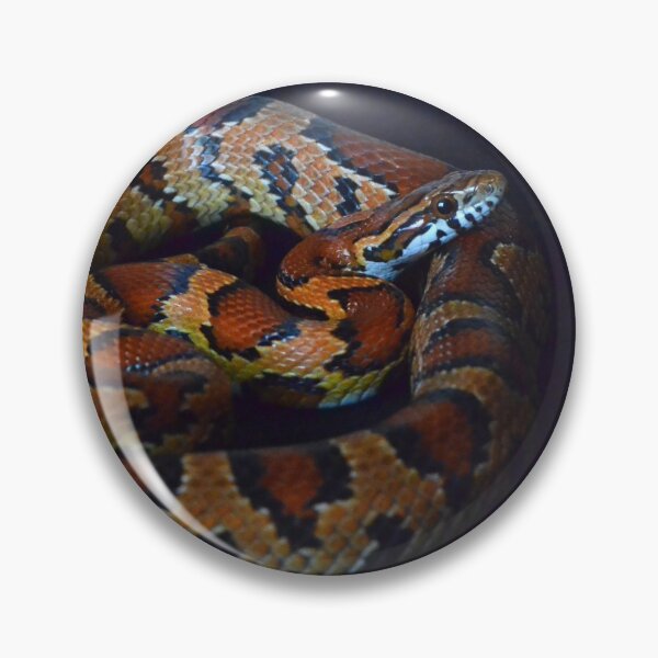 Item preview, Okeetee Corn Snake designed and sold by Pauline Catling.