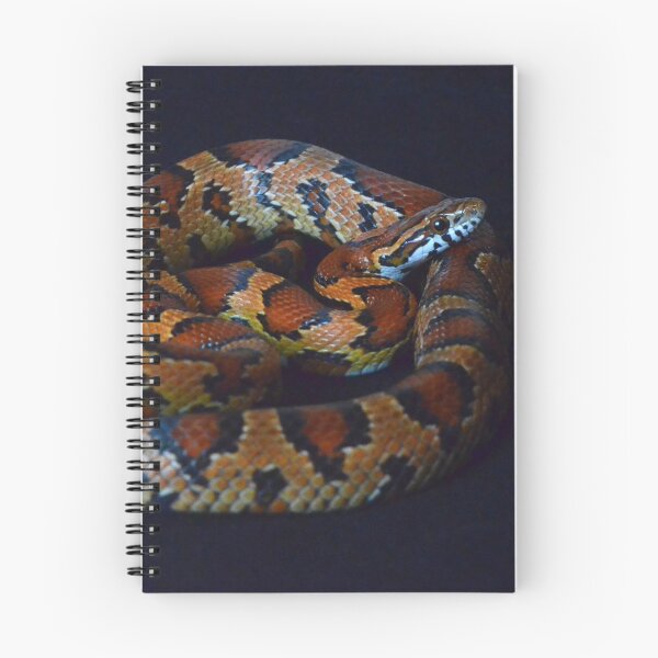 Item preview, Okeetee Corn Snake designed and sold by Pauline Catling.