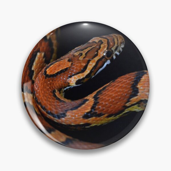 Item preview, Okeetee Corn Snake designed and sold by Pauline Catling.
