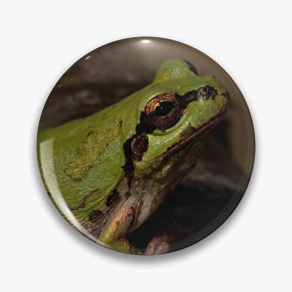 Item preview, Japanese tree frog (Hyla japonica) designed and sold by Pauline Catling.