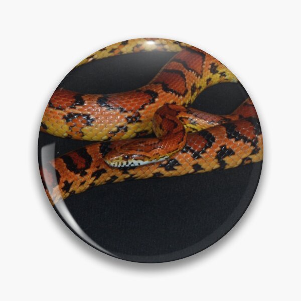 Item preview, Okeetee Corn Snake designed and sold by Pauline Catling.