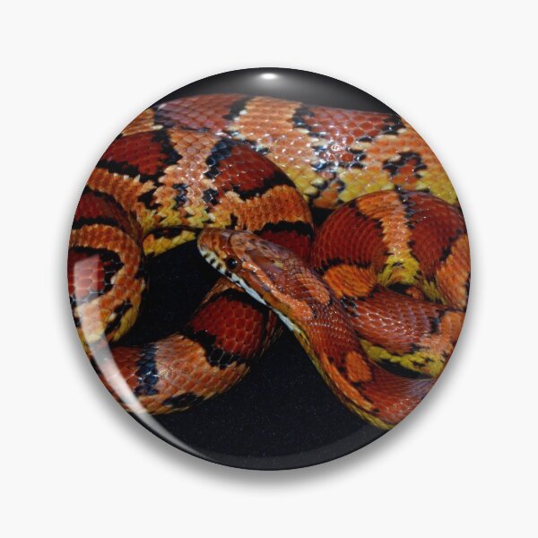 Item preview, Okeetee Corn Snake designed and sold by Pauline Catling.
