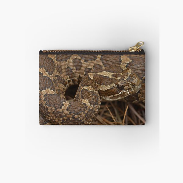 Item preview, Massasauga Rattlesnake designed and sold by Pauline Catling.