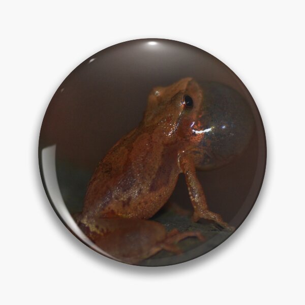 Item preview, Spring Peeper designed and sold by Pauline Catling.