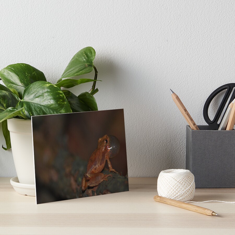 Item preview, Art Board Print designed and sold by pcatling.