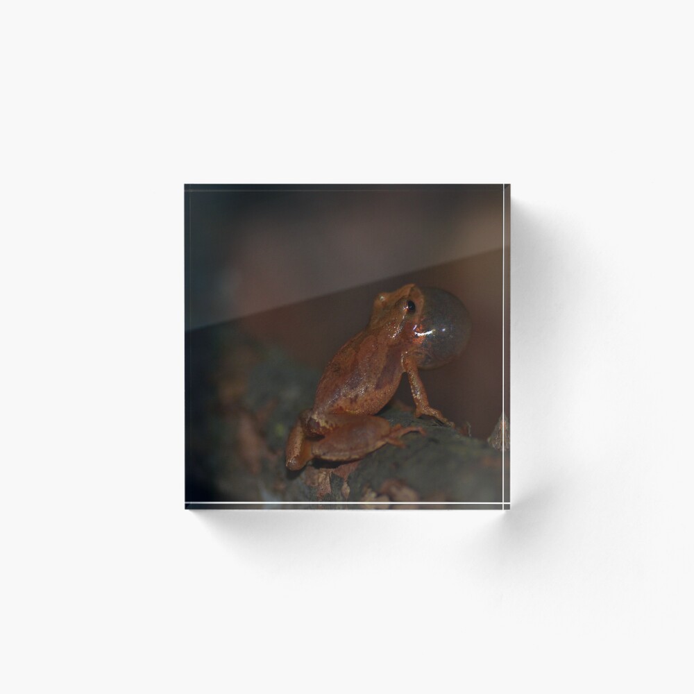 Item preview, Acrylic Block designed and sold by pcatling.