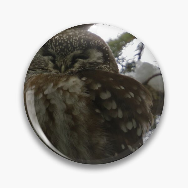 Item preview, Boreal Owl designed and sold by Pauline Catling.