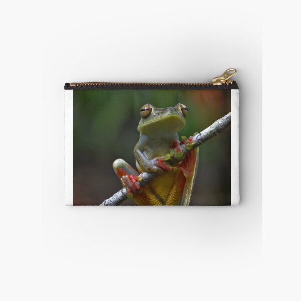Item preview, Scarlet-webbed Tree Frog (Hyla rufitela) designed and sold by Pauline Catling.