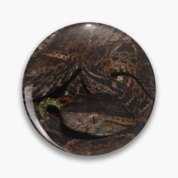 Item preview, Fer de Lance (Bothrops asper) designed and sold by Pauline Catling.
