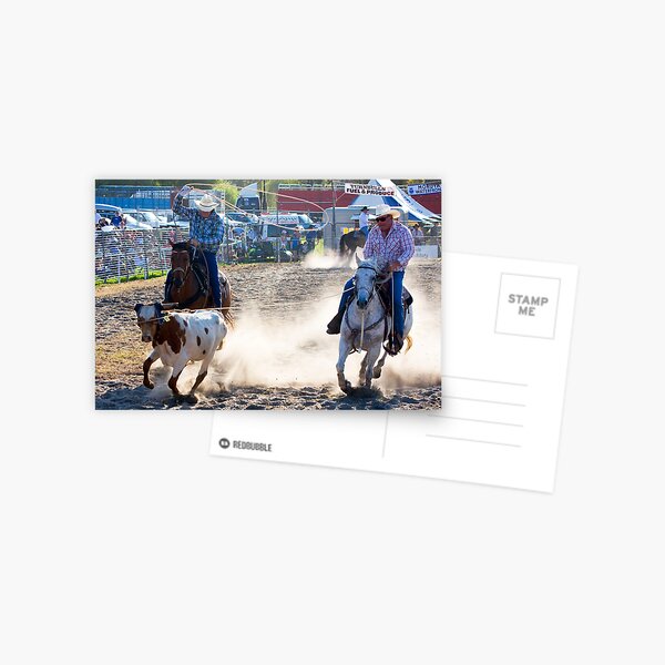 Moruya Rodeo New Years Day 2012 Postcard