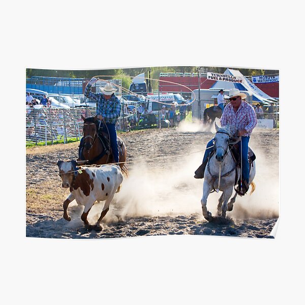 Moruya Rodeo New Years Day 2012 Poster