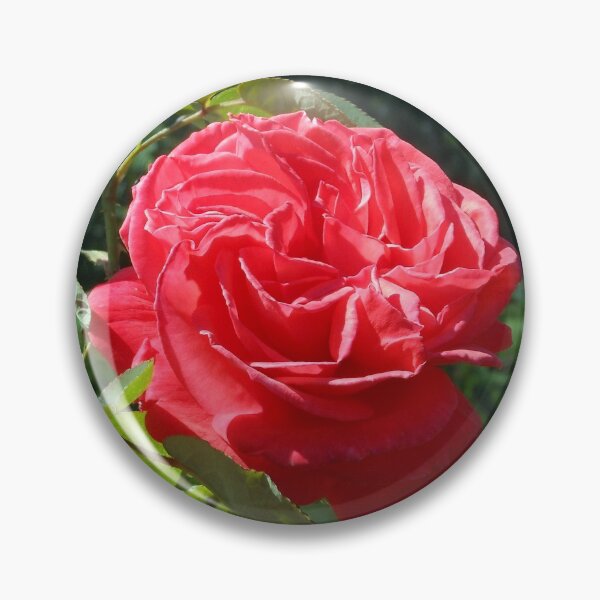 Item preview, Welcoming Rose designed and sold by BlueMoonRose.