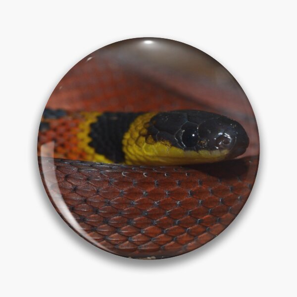 Item preview, Red Coffee Snake (Ninia sebae) designed and sold by Pauline Catling.