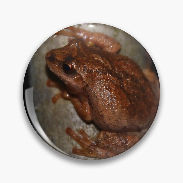 Item preview, Spring Peeper designed and sold by Pauline Catling.