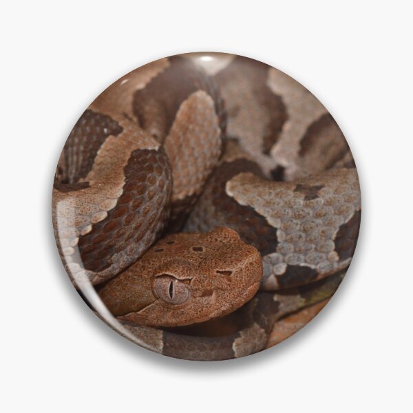 Item preview, Neonate Copperhead designed and sold by Pauline Catling.
