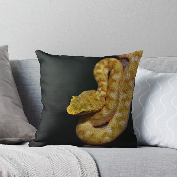 Item preview, Neonate Eyelash Viper (Bothriechis schlegelii) designed and sold by Pauline Catling.